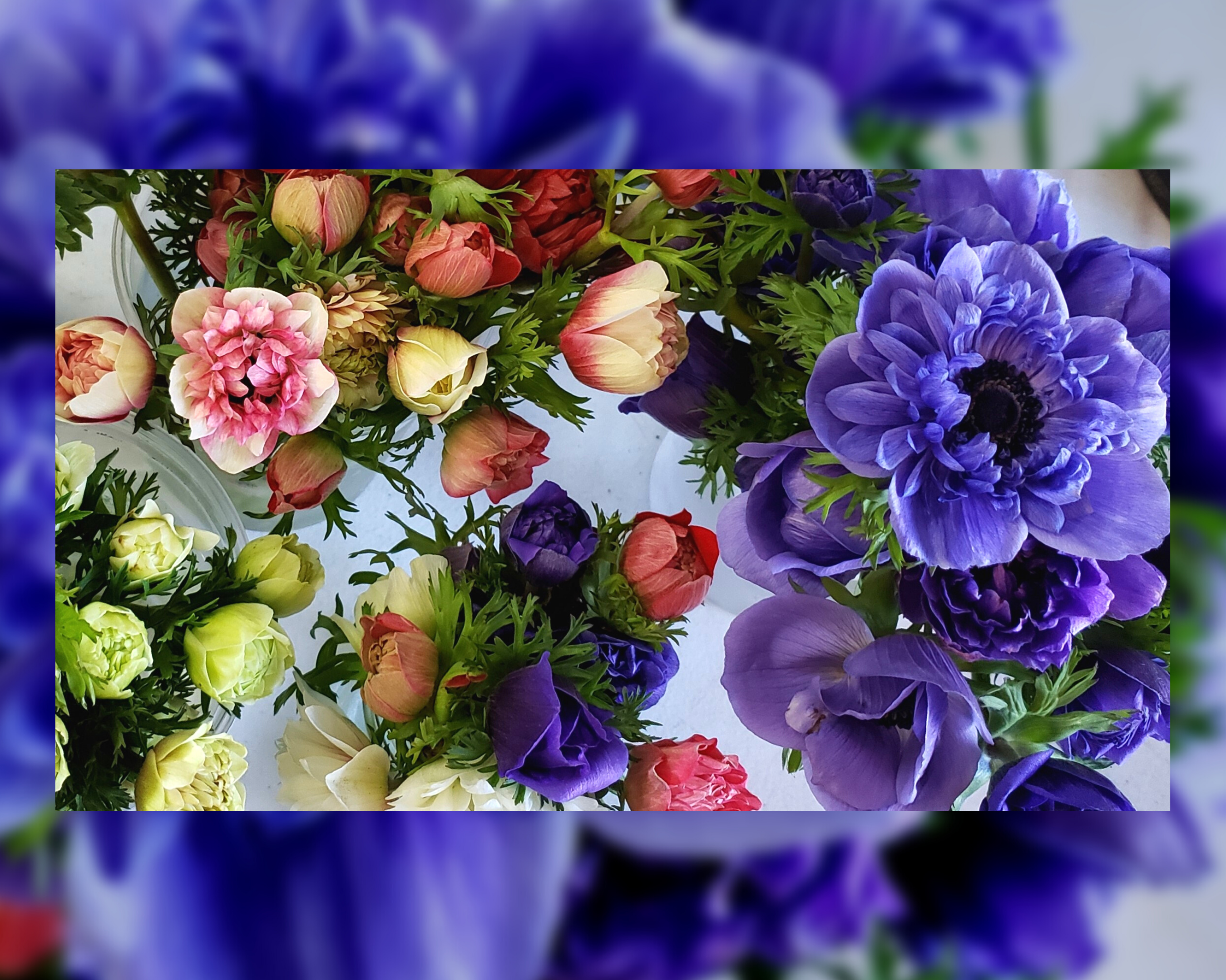 Bouquets by Jazz Flower Farm