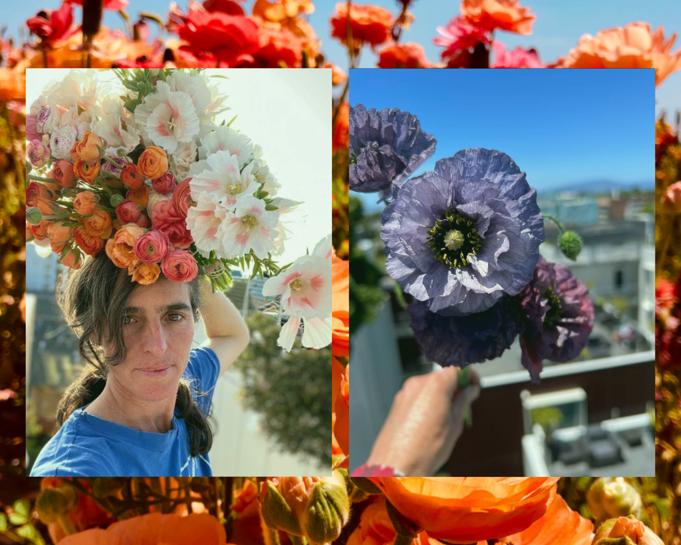 Joana Letz of Bluma Flower Farm