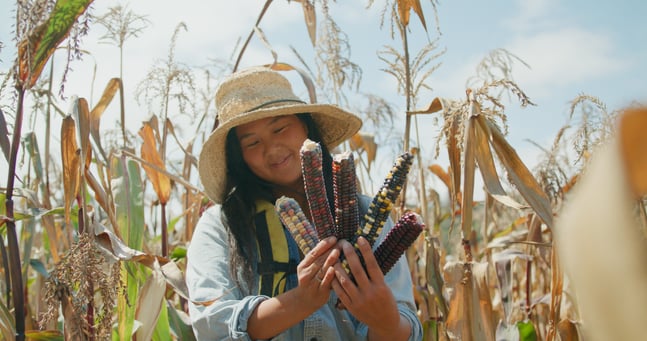 a smiling woman in a corn field holding colorful ears of flour corn